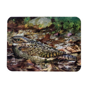 Gömt Whippoorwill Magnet
