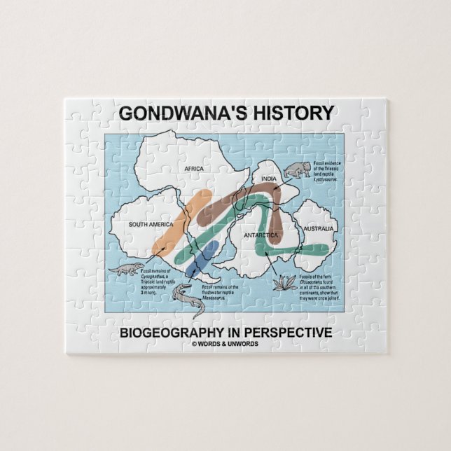 Gondwanas historieBiogeography i perspektiv Pussel (Horisontell)