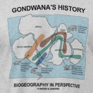 Gondwanas historiska biogeografi i perspektiv tröja