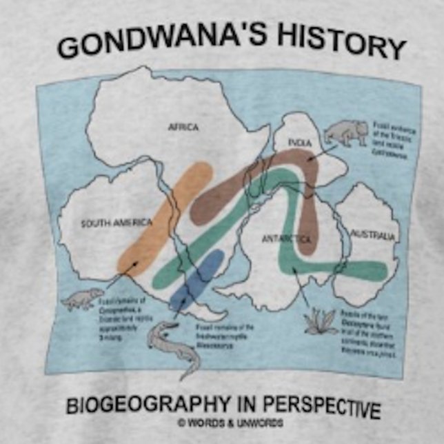 Gondwanas historiska biogeografi i perspektiv tröja (Biogeographers and historians will enjoy this "Gondwana's History Biogeography In Perspective" tee)