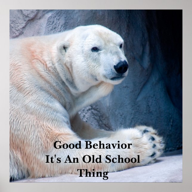 Good BehaviorI Poster (Framsidan)