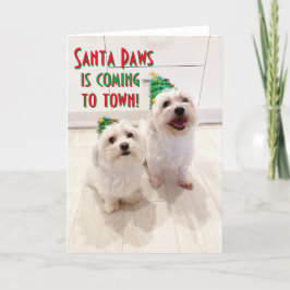 Goodboys på maltesiska och Bichon-julkort Helgkort