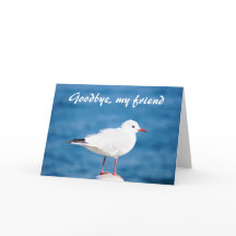 Goodbye fiskmåsSayonara Auf Wiedersehen Despedida