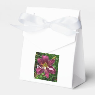 Goodie boxas presentaskar