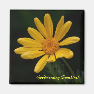 Goodmorgon Sunshine Magnet