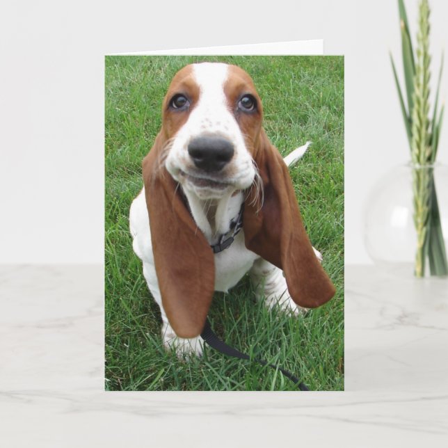 Goofy Basset Hound Greeting Card Kort (Framsida)