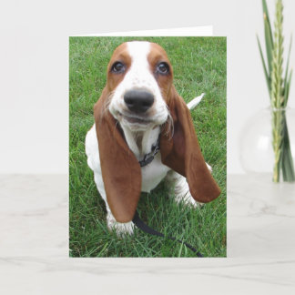 Goofy Basset Hound Greeting Card Kort