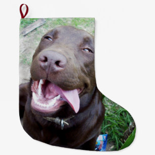 Goofy Delight: Chocolate Brown Labrador Puppy, Stor Julstrumpa
