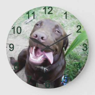 Goofy Delight: Chocolate Brown Labrador Puppy, Stor Klocka