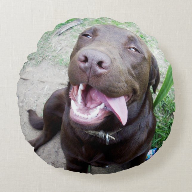 Goofy Delights: Choklad Brun Labrador Valp, Rund Kudde (Framsidan)