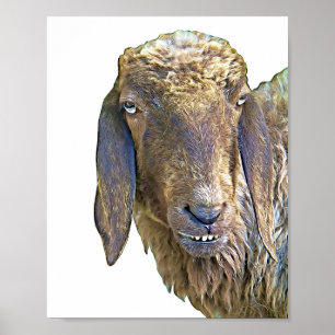 Goofy Får Ansikte Farm Animal Art Poster