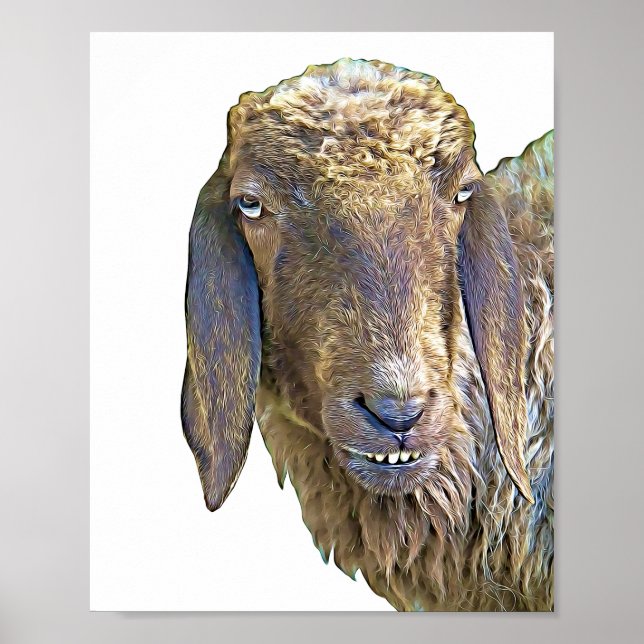 Goofy Får Ansikte Farm Animal Art Poster (Framsidan)