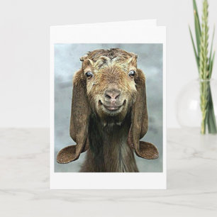 GOOFY GOAT SÄGER ATT DIN BIRTHDAY SER *BRA* PÅ DIG KORT