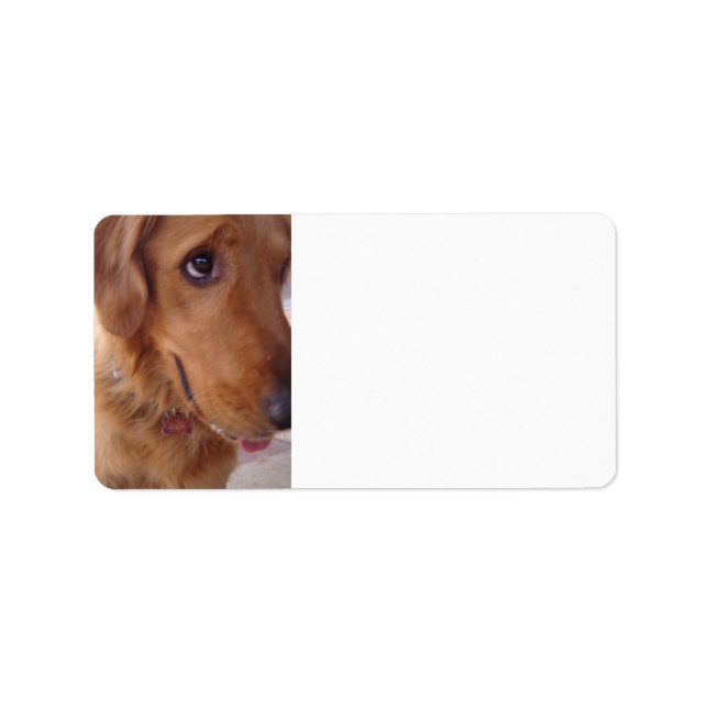 Goofy Golden Adressetikett (Framsidan)