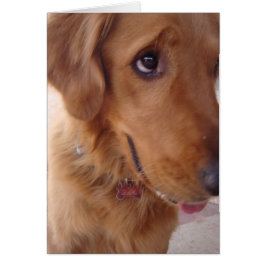 Goofy Golden Hälsningskort