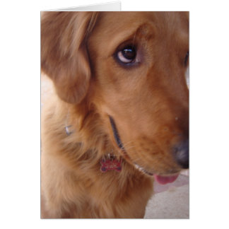 Goofy Golden Hälsningskort