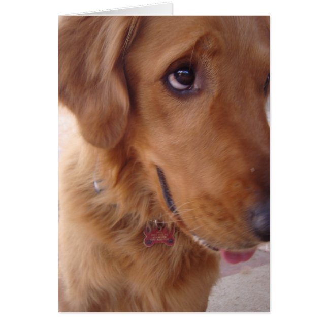 Goofy Golden Hälsningskort (Framsidan)
