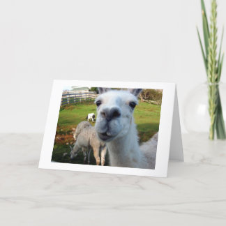 Goofy Llama Blank Greeting Card Kort