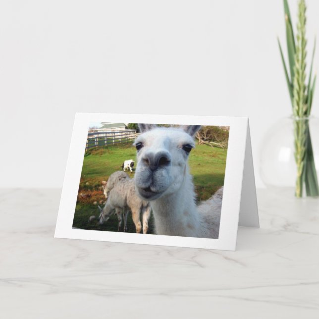 Goofy Llama Blank Greeting Card Kort (Framsida)