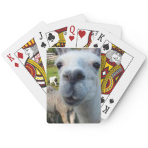 Goofy Llama-spelkort