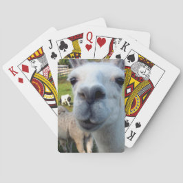 Goofy Llama-spelkort Casinokort