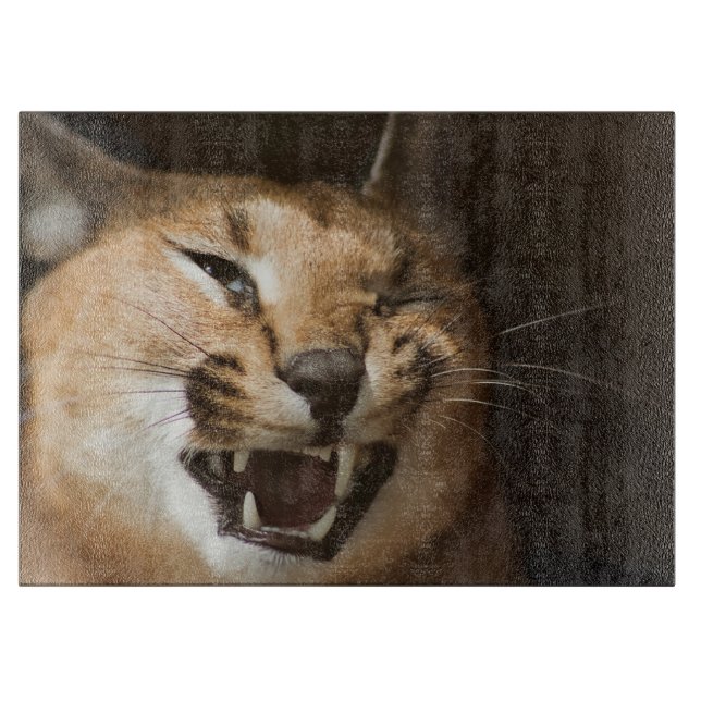 Goofy Lynx (Framsidan)