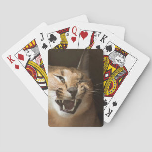 Goofy Lynx Casinokort