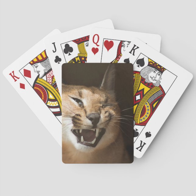Goofy Lynx Casinokort (Baksidan)