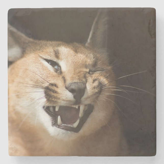 Goofy Lynx Stenunderlägg (Framsidan)