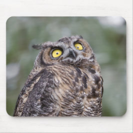 Goofy Owl Mousepad Musmatta