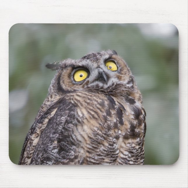 Goofy Owl Mousepad Musmatta (Framsidan)
