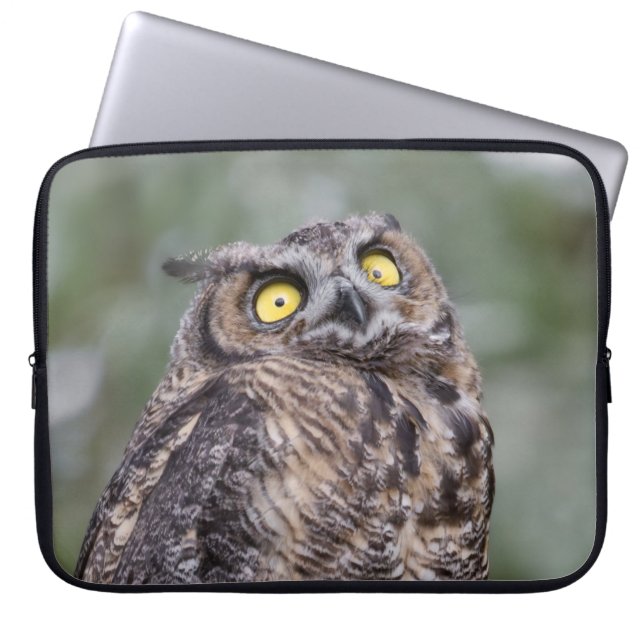 Goofy Owl Neoprene Laptop Sleeve (Framsidan)