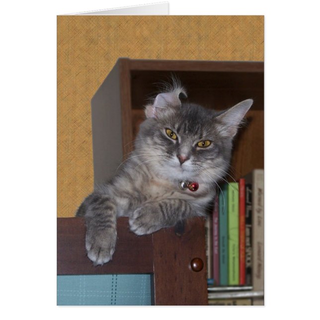 Goofy Xena-kort Hälsningskort (Framsidan)