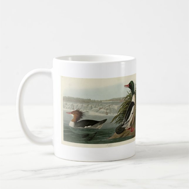 Goosander (Common Merganser) Audubon's Birds Kaffemugg (Vänster)