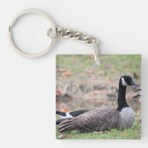 Goose