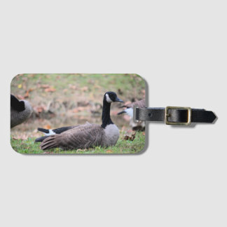 Goose Bagagebricka