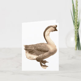 Goose blank-kort tack kort