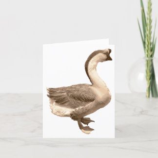 Goose blank-kort tack kort