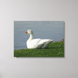 Goose Canvastryck