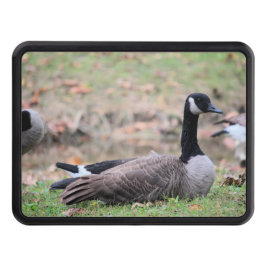 Goose Dragkroksskydd