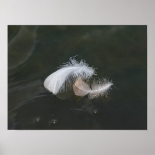 Goose Feathers Flyter Poster