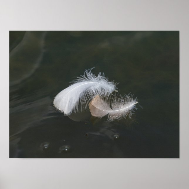 Goose Feathers Flyter Poster (Framsidan)