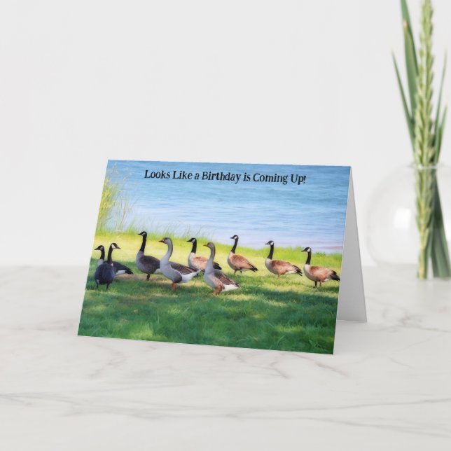 Goose Geese Gathering Party Birthday Wishes Card Helgkort (Framsida)