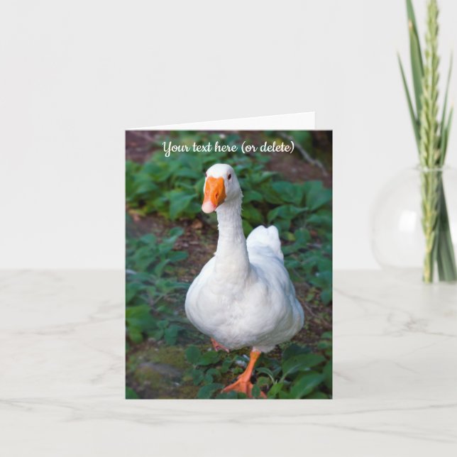 Goose Greeting Card Tack Kort (Framsida)