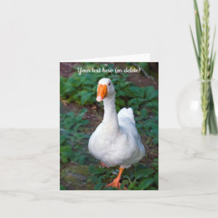 Goose Greeting Card Tack Kort