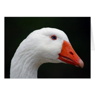 Goose Hälsningskort
