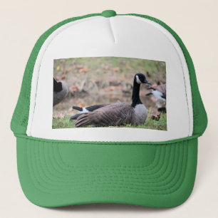 Goose Keps