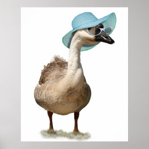 Goose med en blå sommarlägenhet poster