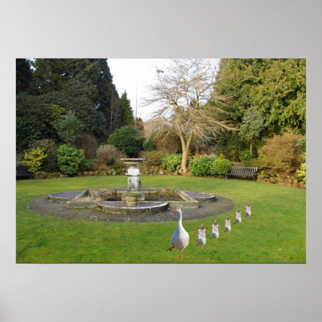 Goose och Goslings marsch Poster (Framsidan)