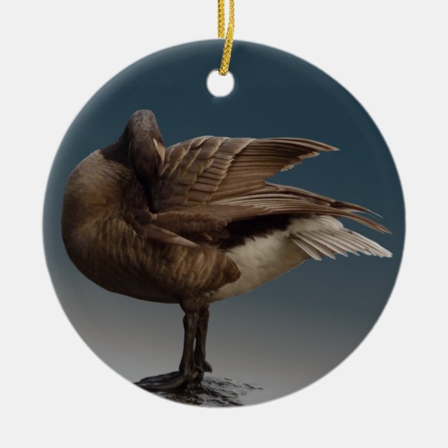 Goose Ornament Personlig Canada Goose Souvenir (Framsidan)